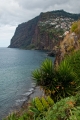 324_Madera_Camara de Lobos - widok na klify Cabo Girao